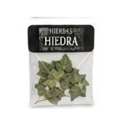 Hierba Girasol Hiedra